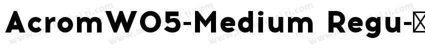 AcromW05-Medium Regu字体转换